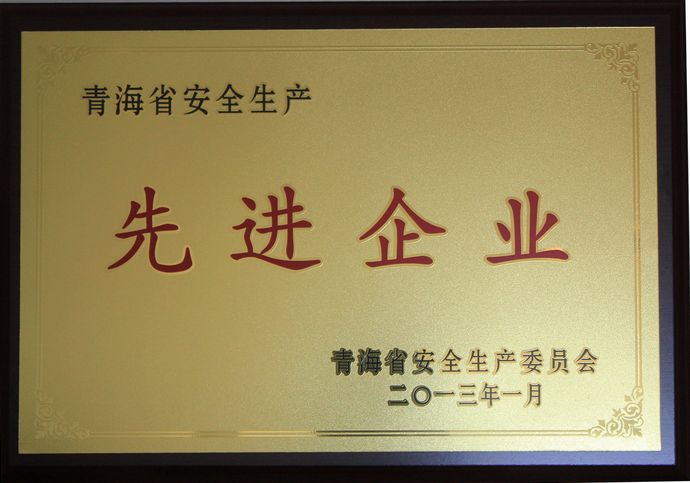 青海物產(chǎn)榮獲“2012年度安全生產(chǎn)先進企業(yè)”榮譽稱號